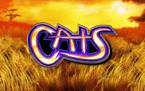 Cats